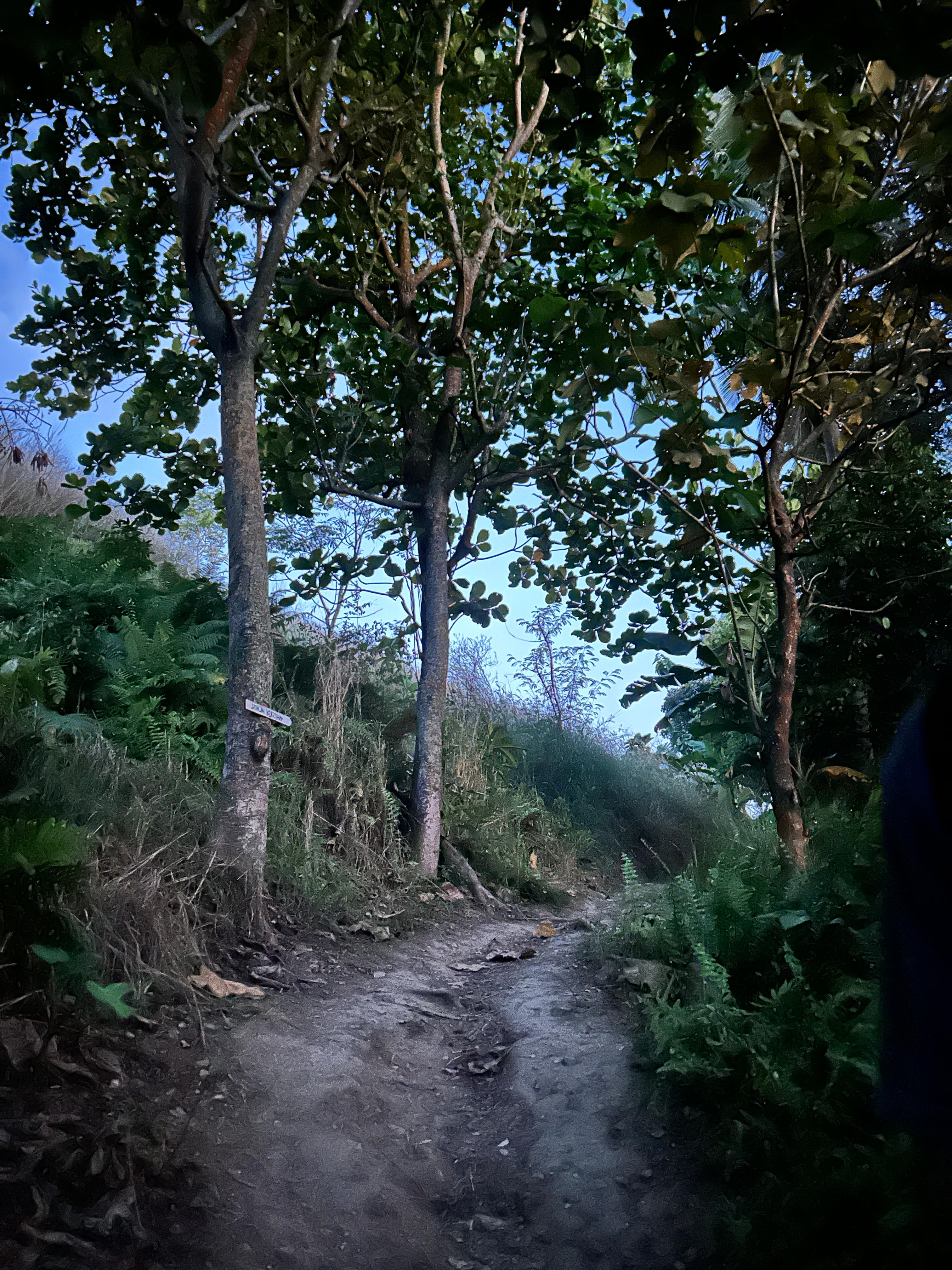 Gambar 6
