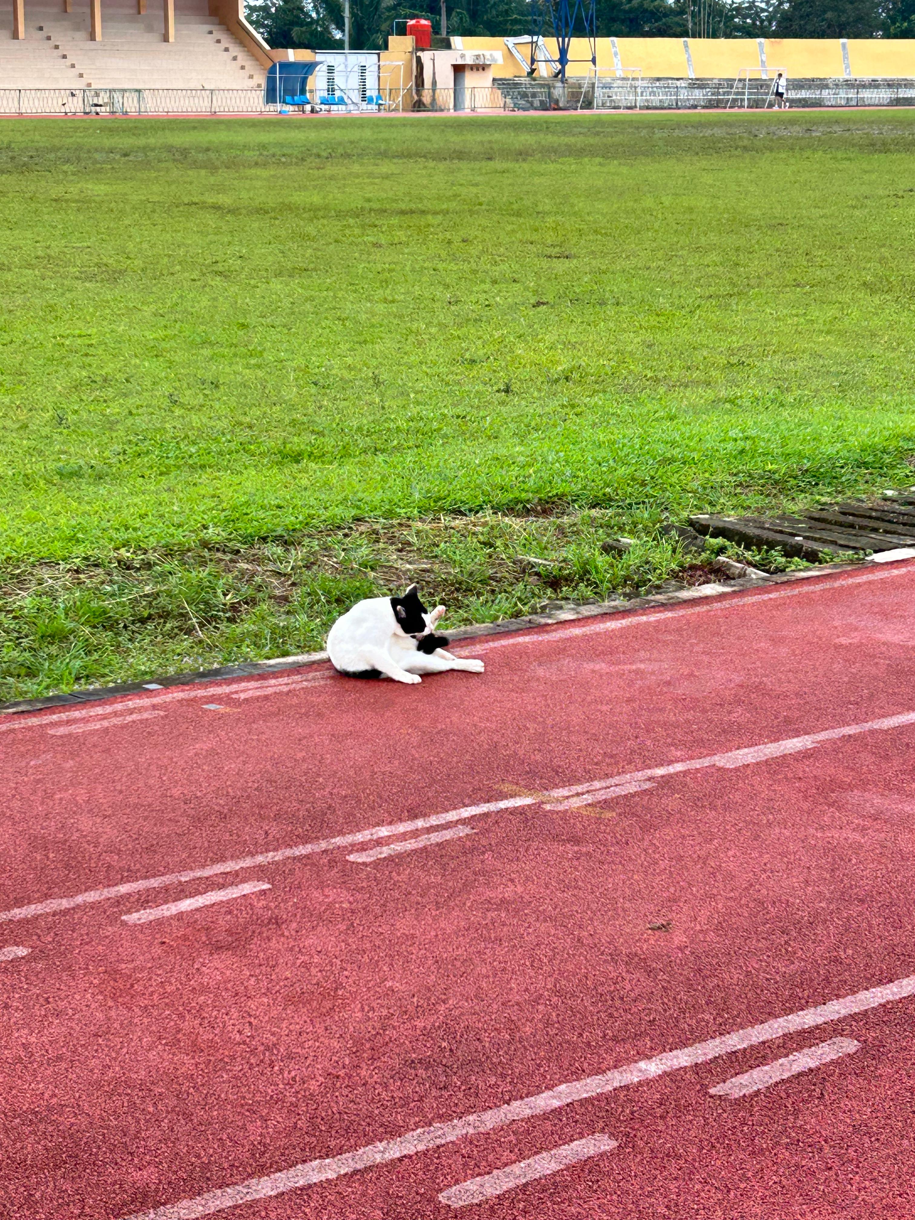 Gambar 6